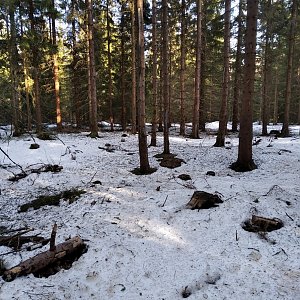 D3etre on the summit of Vlčinec (25.2.2021 15:08)