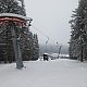 Nojby na vrcholu Čimický vrch (19.1.2021 12:07)
