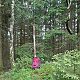 Mountainer na vrcholu Čimický vrch (5.7.2021 15:26)