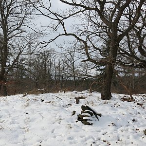 ZdenkaV on the summit of Ostrý (19.1.2021)