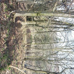 Cyklista 73 na vrcholu Spálený vrch (17.4.2022 8:51)