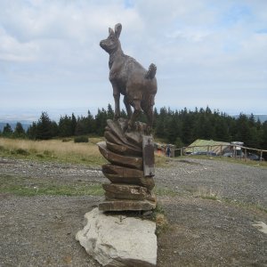 ZdenkaV na vrcholu Šerák (12.9.2026 12:25)