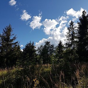 Marcela Kubíčková on the summit of Tříslový (16.7.2022 17:25)