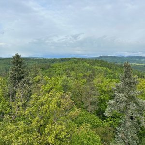 akam on the summit of Tříslový (17.5.2025)