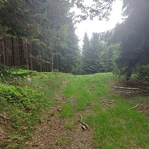 Cyklista 73 na vrcholu Šance (21.5.2022 13:13)