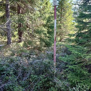 Nojby na vrcholu Černá skála (4.9.2022 12:08)