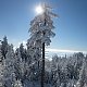 Nojby na vrcholu Černá skála (12.2.2021 10:50)