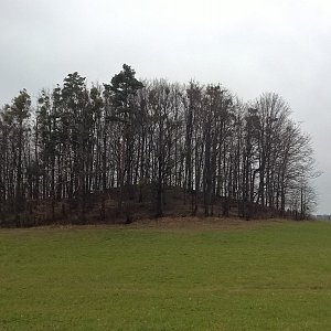 Horalka Anička na vrcholu Velká Horečka (14.11.2021)