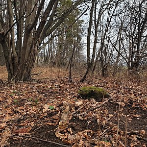 Petr Pepe Peloušek na vrcholu Malá Horečka (23.1.2021 9:38)