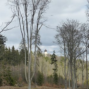Nojby na vrcholu Výšina přátelství (20.3.2021 13:13)