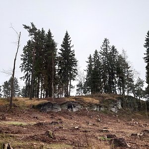 Nojby na vrcholu Branišovský vrch (17.11.2021 14:11)