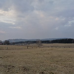 Holi na vrcholu Branišovský vrch (4.3.2021 13:00)