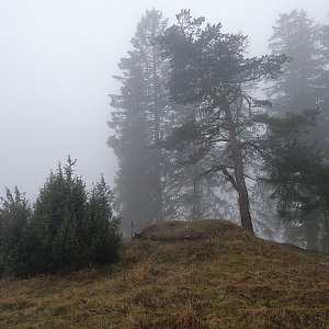 TP na vrcholu Branišovský vrch (11.1.2023 12:31)