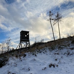 Martin Matějka na vrcholu Branišovský vrch (23.11.2024 15:24)