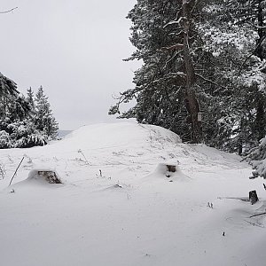 Cesty Haničky a Milana on the summit of Branišovský vrch (24.1.2021 12:51)