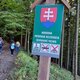 Mykas na vrcholu Veľký Javorník Z