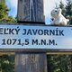Mykas na vrcholu Veľký Javorník Z