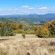 Mykas na vrcholu Veľký Javorník Z