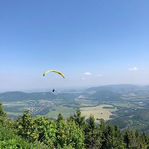 Ivča na vrcholu Veľký Javorník Z (11.6.2021 10:30)
