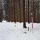 Marcela Kubíčková na vrcholu Kyčera (12.12.2021 11:10)