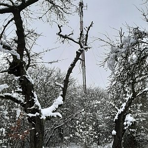 Bohaji na vrcholu Na Skalce (10.1.2021 15:50)