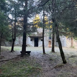 Mertelici na tripu na vrcholu Mezivrší (10.11.2024 15:02)