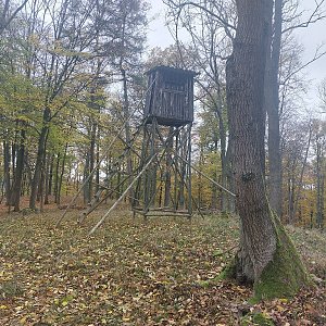 Cyklista 73 na vrcholu Týčský vrch (26.10.2022 12:23)