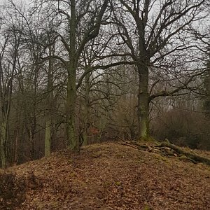 Cesty Haničky a Milana on the summit of Těchovín J2 (16.3.2019 11:23)
