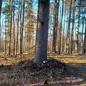 PA!WELL na vrcholu Rakovec (31.10.2021)