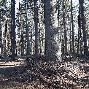 ZdenkaV na vrcholu Rakovec (13.2.2022 12:35)