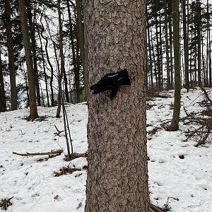 Radka D na vrcholu Rakovec (11.2.2023 9:33)