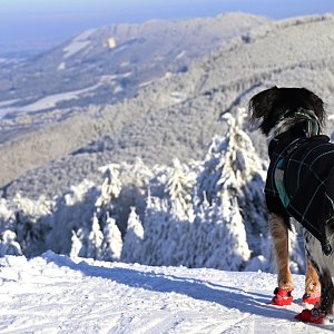 Čaky na vrcholu Radegast - Z vrchol I (18.1.2021 12:05)