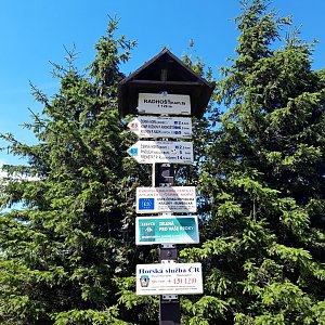 Evík na vrcholu Radegast - Z vrchol I (30.7.2020 11:45)