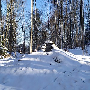 Petra na vrcholu Hradiště Jáma (6.3.2021 15:33)