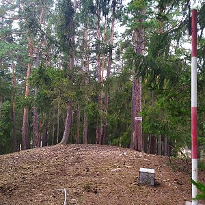 Petra na vrcholu Jedlový vrch (12.4.2021 8:35)