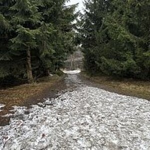 Gregořicovi na vrcholu Tanečnice - Z vrchol (17.2.2024 10:19)