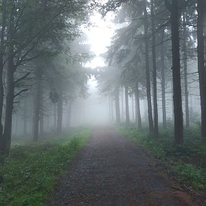 Juditka na vrcholu Tanečnice - Z vrchol (17.7.2021)