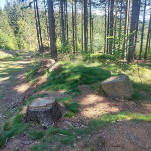 Mykas on the summit of Nad Skokem (6.7.2024 11:41)