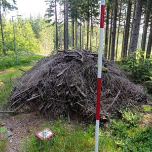 FilipBranis on the summit of Nad Skokem (18.6.2025 8:50)