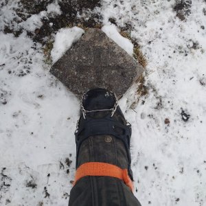 Nojby on the summit of Klobouk (19.11.2025 11:17)