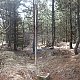 Nojby na vrcholu Loučná - J vrchol (22.4.2021 10:34)