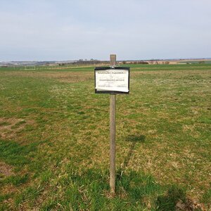 Horalka Anička na vrcholu Na Babách (15.3.2024)