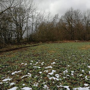 Vladimír Grančay na vrcholu Chrástnice (30.1.2021 12:22)