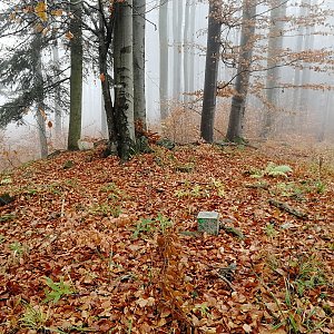 Vladimír Grančay na vrcholu Pískový kámen (13.11.2021 12:46)
