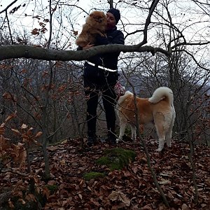 Romana na vrcholu Pískový kámen (6.12.2020 2:29)