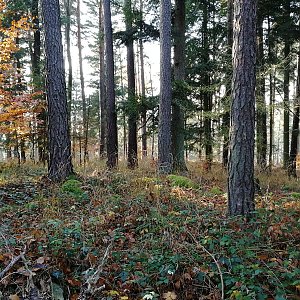 Vladimír Grančay na vrcholu Stříbrná hora (13.11.2021 14:50)