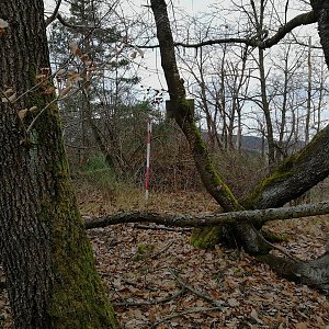 Vladimír Grančay na vrcholu Rojšínský vrch (1.1.2022 15:22)