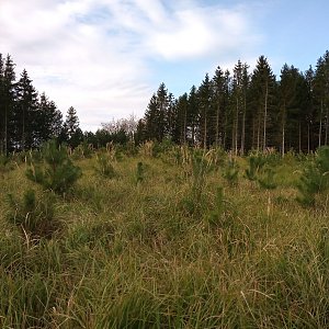 VěrkaN na vrcholu Háj (29.10.2022 11:17)