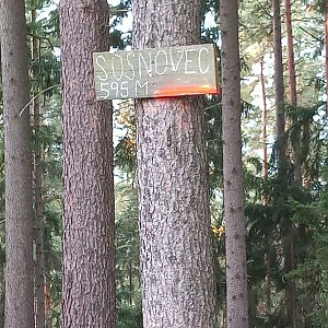 VěrkaN na vrcholu Sosnovec (29.10.2022 10:19)