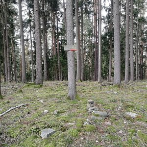 Vladimír Grančay na vrcholu Sosnovec (29.10.2022 10:19)